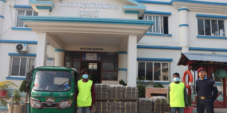 १०७ किलो गाँजासहित हरिनगरबाट अंसारी र मिया पक्राउ